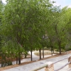 casa-rural-letur-013